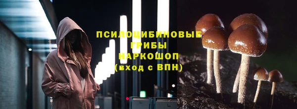 соль ск Армянск