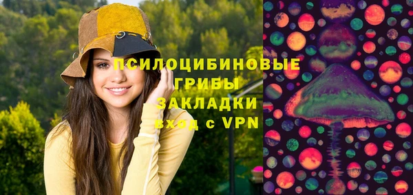 тгк Арсеньев
