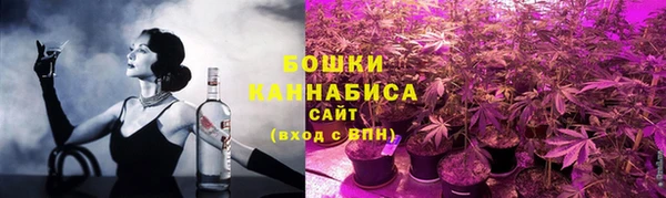 сатива Аркадак
