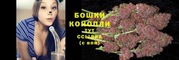 тгк Арсеньев