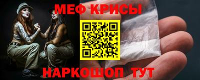 тгк Кингисепп