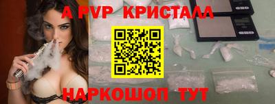 тгк Кингисепп
