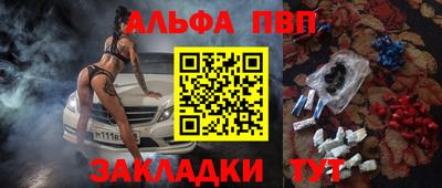 тгк Кингисепп