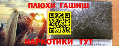 тгк Кингисепп
