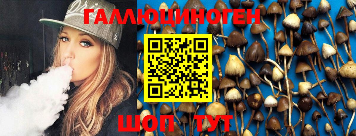 Псилоцибиновые грибы Magic Shrooms Новомосковск