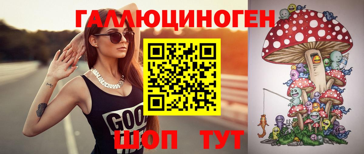 Новомосковск  Галлюциногенные грибы мухоморы  Вход с VPN 