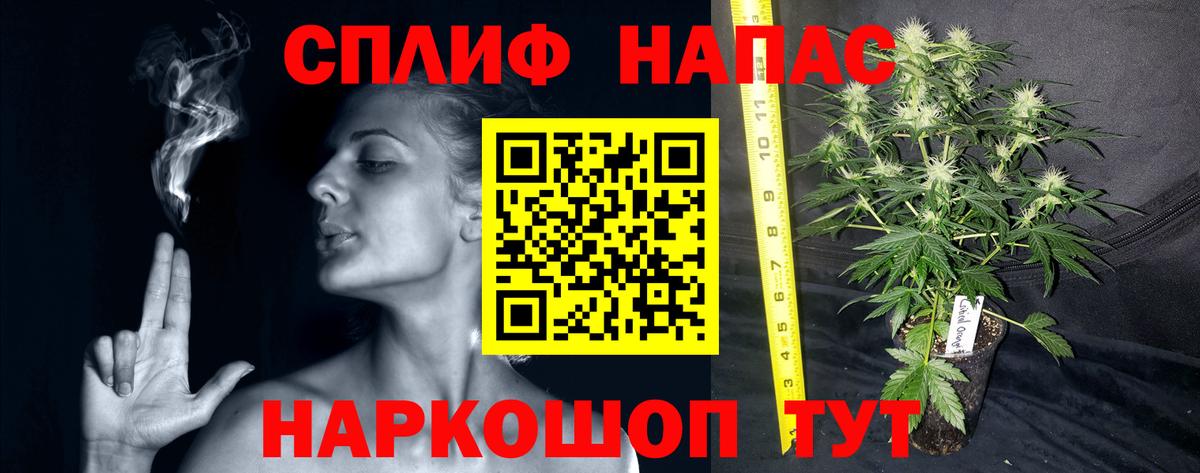 Каннабис планчик Новомосковск